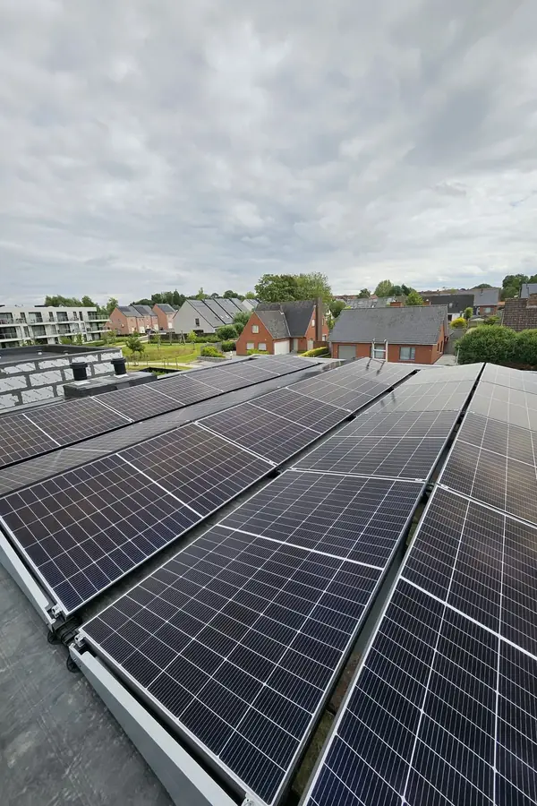 Rijen zonnepanelen op een plat dak, met woningen en bomen op de achtergrond